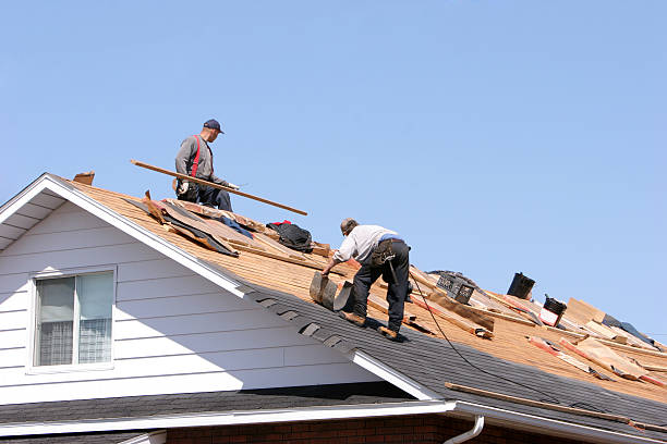Best Green or Eco-Friendly Roofing Solutions  in Calhoun City, MS